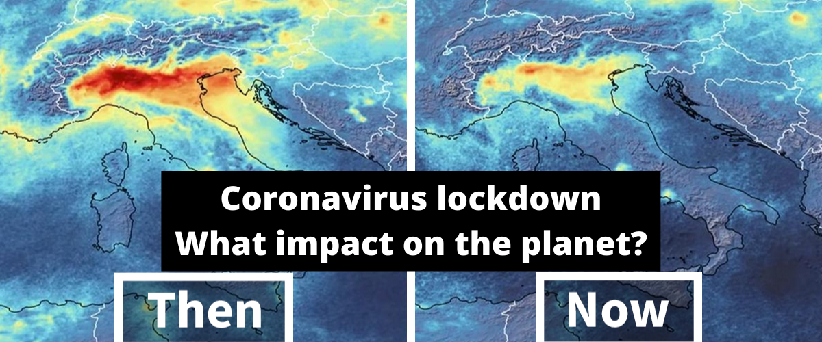 Coronavirus lockdown: What impact on the planet?